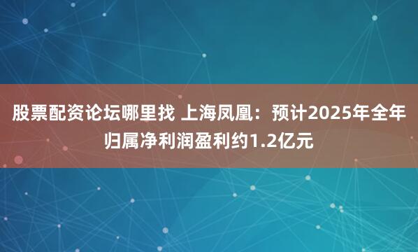 股票配资论坛哪里找 上海凤凰：预计2025年全年归属净利润盈利约1.2亿元